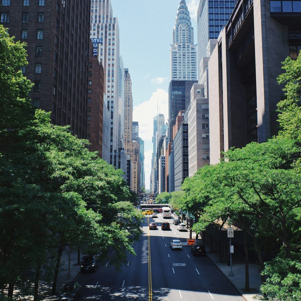 robert-bye-WTPp4wgourk-unsplash